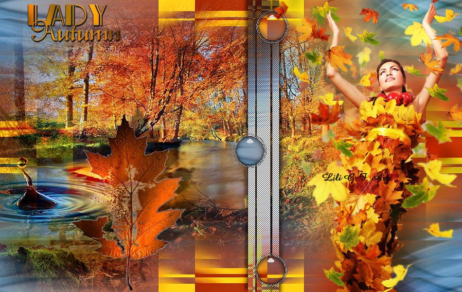 Herfst/Autumn - Lady in autumn forest Mi_vit38