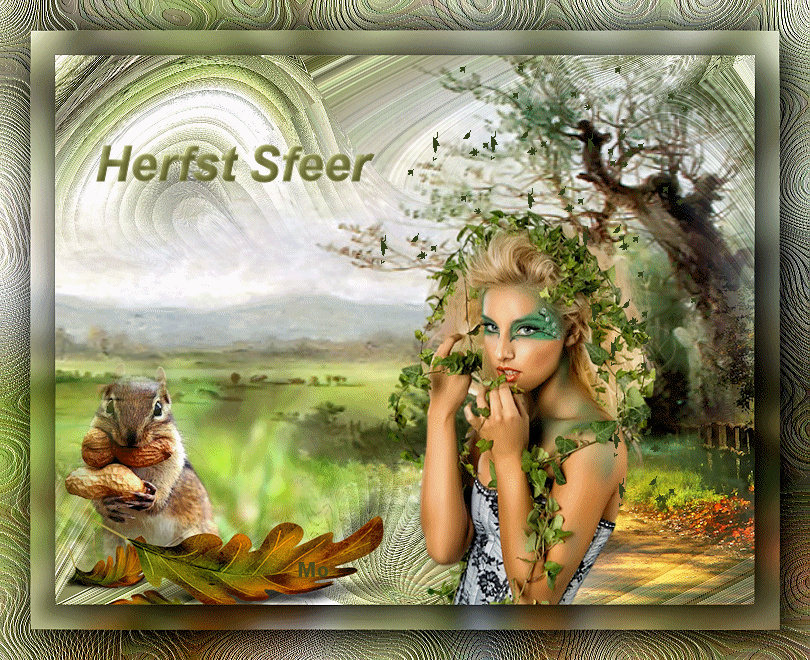 Herfst/Autumn  - Herfst Sfeer Mo48