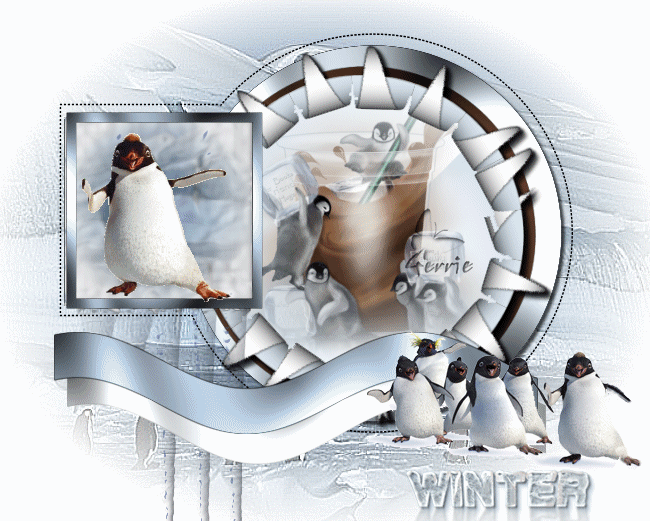 Winter les - Penguins Pengui10