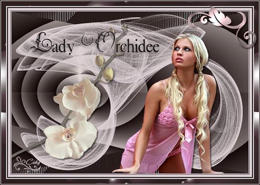 Tag lessen 2 - Lady Orchidee Qlirer10