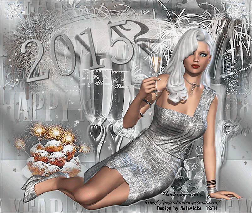 Nieuwjaars les - Happy 2010  /  2015 Solevi11