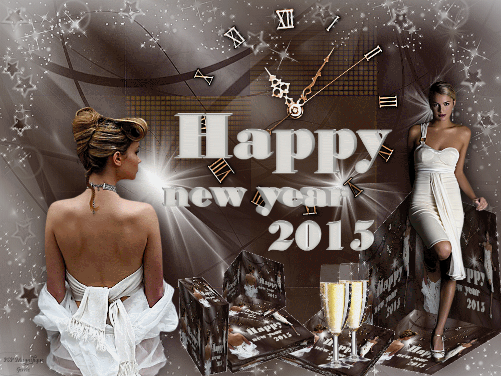 Nieuwjaars les - Sprankelend Nieuwjaar 2015 Sprank10