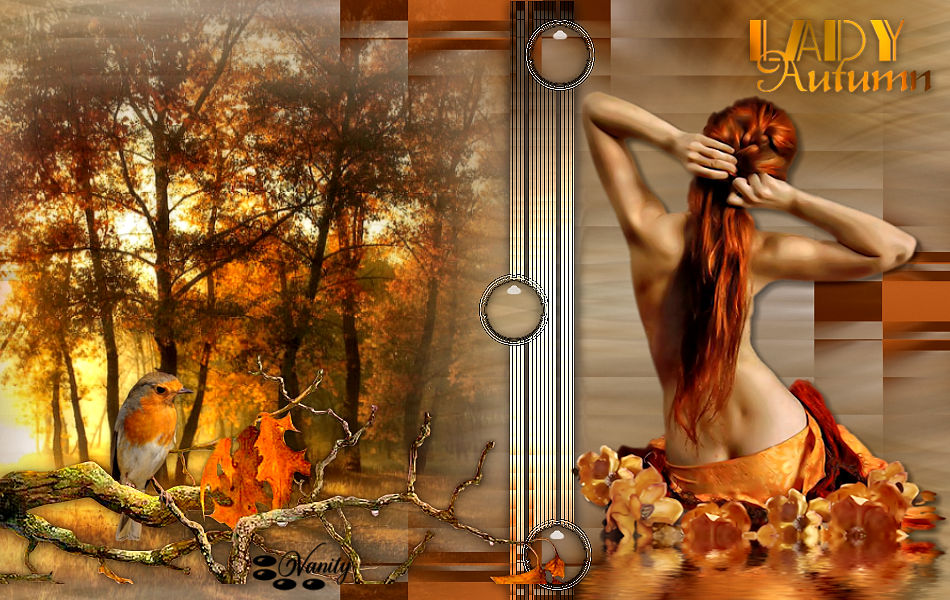 Herfst/Autumn - Lady in autumn forest Vanity41