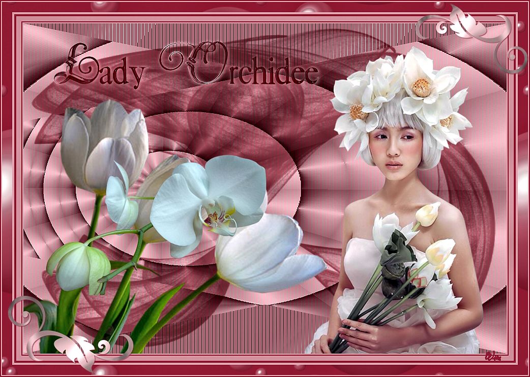 Tag lessen 2 - Lady Orchidee Wim19