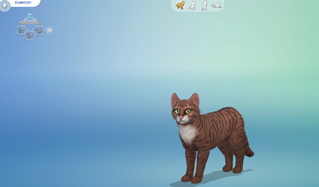 Your Cats in The Sims 4 Downtu10
