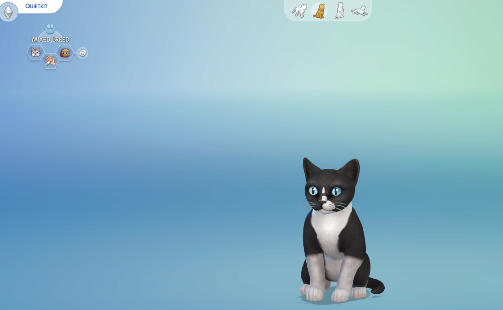 Your Cats in The Sims 4 Quietk10