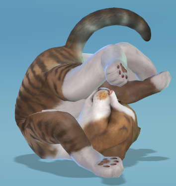 Your Cats in The Sims 4 - Page 2 Timber11