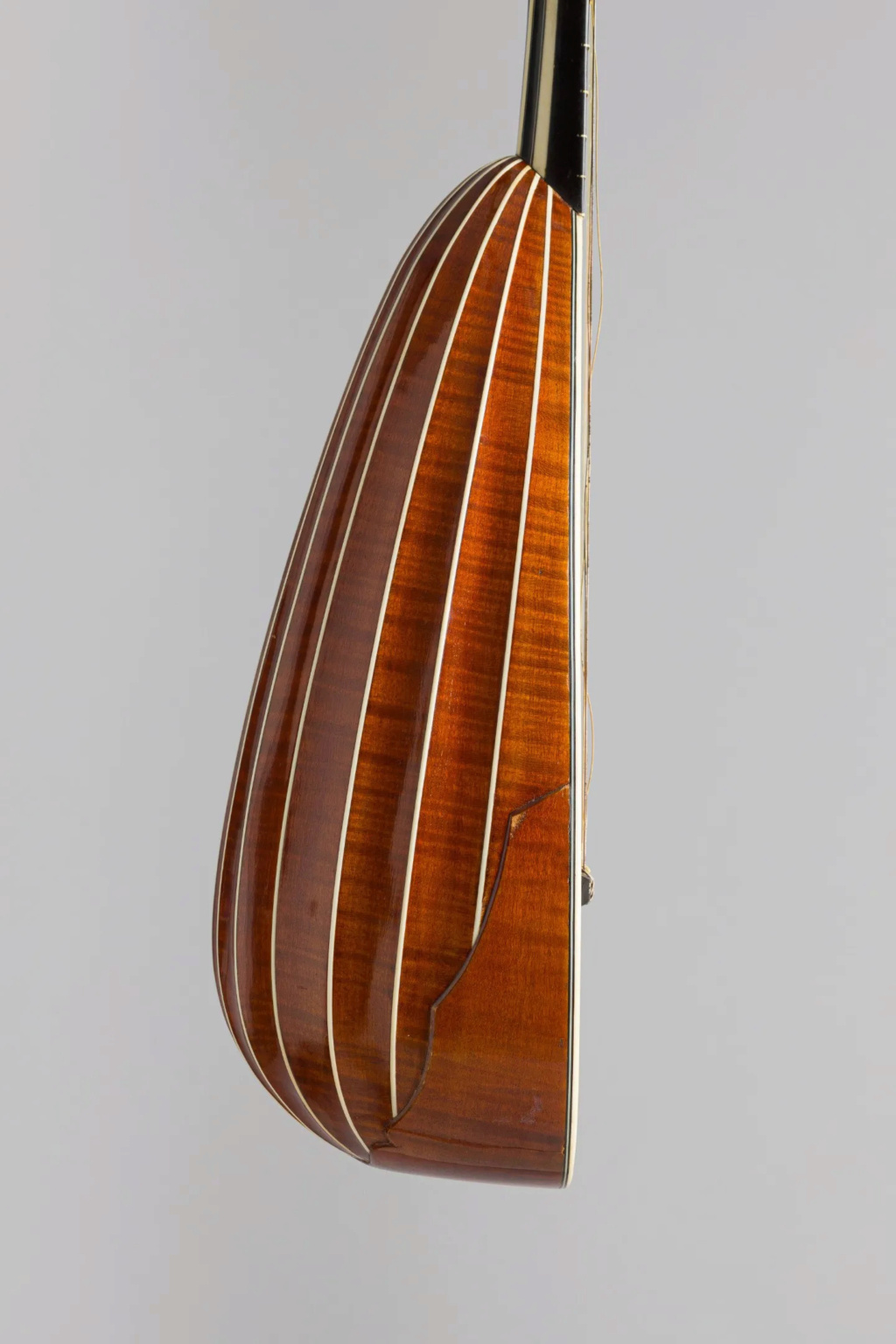 La mandoline au XVIIIe siècle Telech17