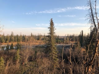 Alberta : plage de Weaselhead à Calgary Unname15