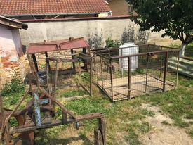 SERBIE - INFOS + CHIENS PRETS A RENTRER - Etat au 16 SEPTEMRE 2023 - Page 2 28580110