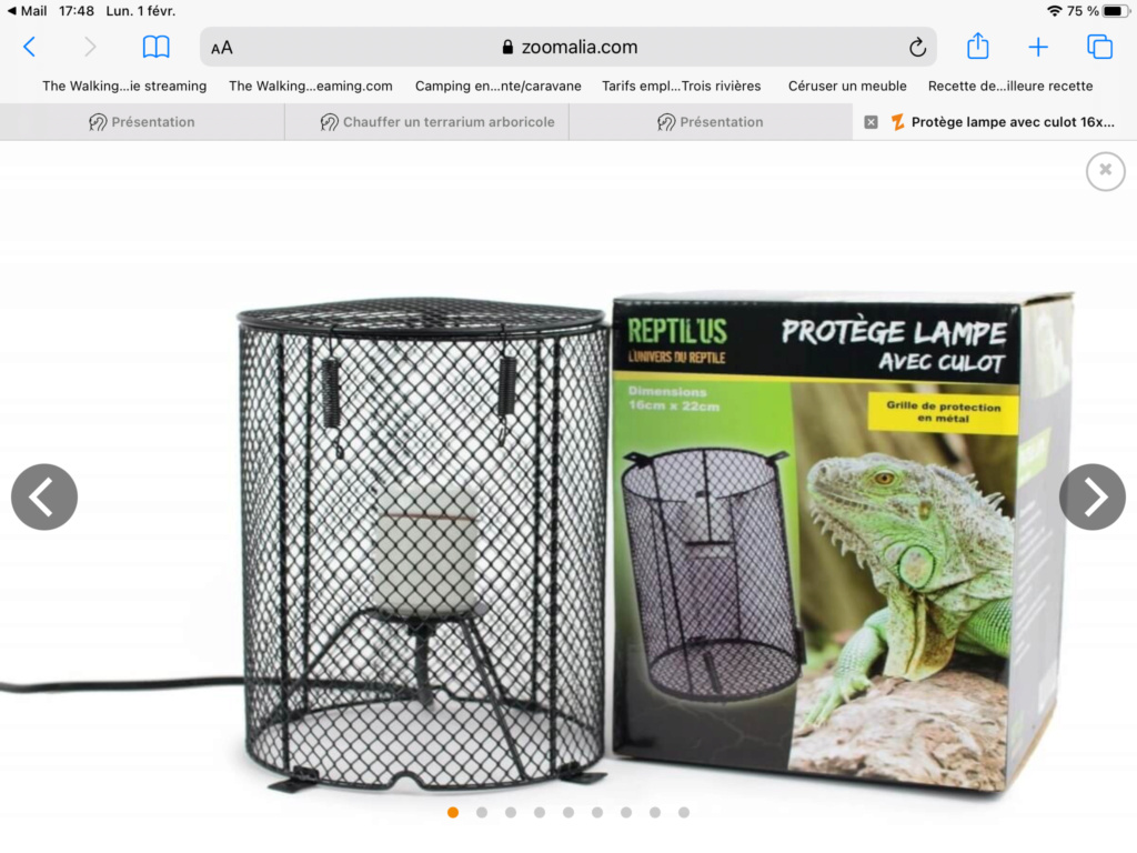Chauffer un terrarium arboricole 71f65c10