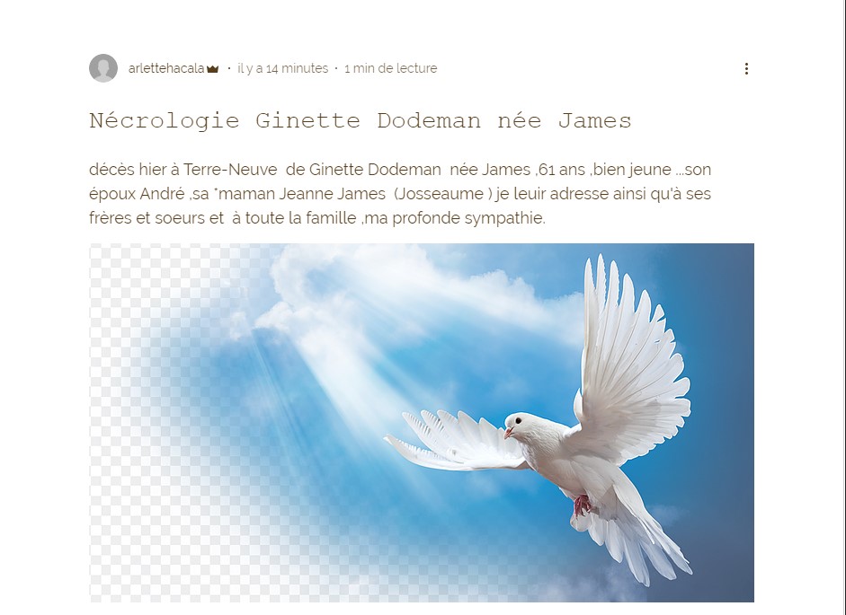 NÉCROLOGIE GINETTE JAMES - DODEMAN 111