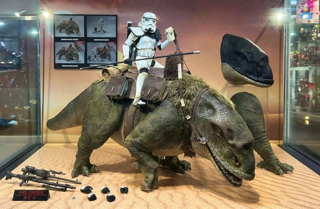 NEW PRODUCT: HOT TOYS: STAR WARS EPISODE IV : A NEW HOPE™ SANDTROOPER SERGEANT™ & DEWBACK™ 1/6TH SCALE COLLECTIBLE SET (& DIFFERENT OPTIONS OF SEPARATES) Fb_img10