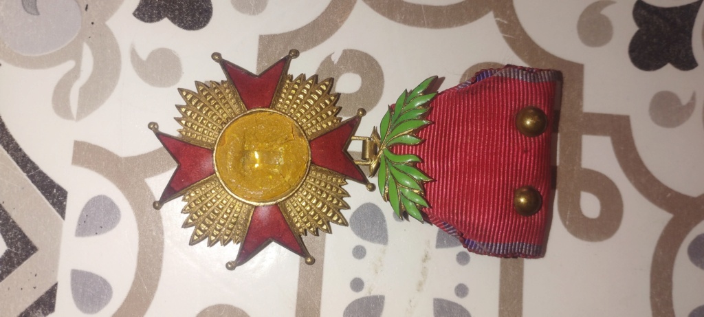 Médaille Inconnue  Img_2010