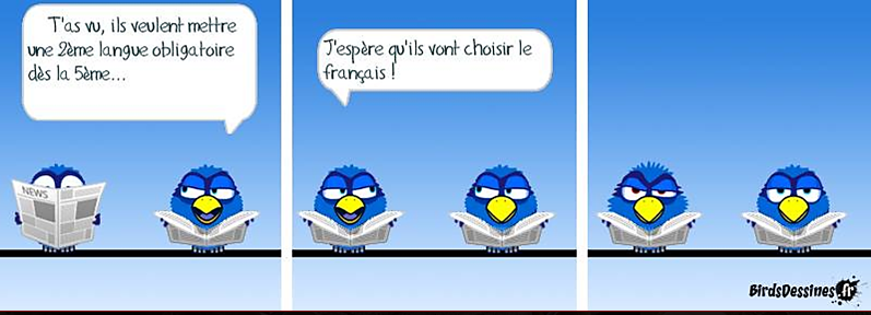 Les oiseaux // les birds   BD   satyrique  Choisi10