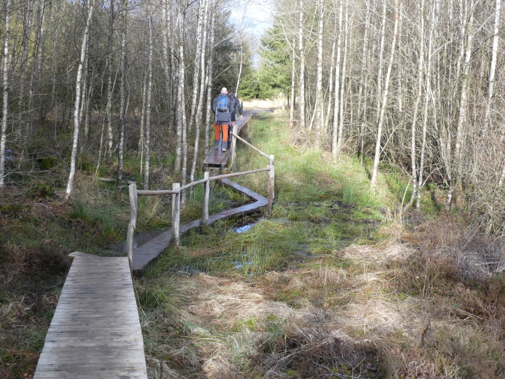 La marche c'est aussi du sport. - Page 40 P1000476