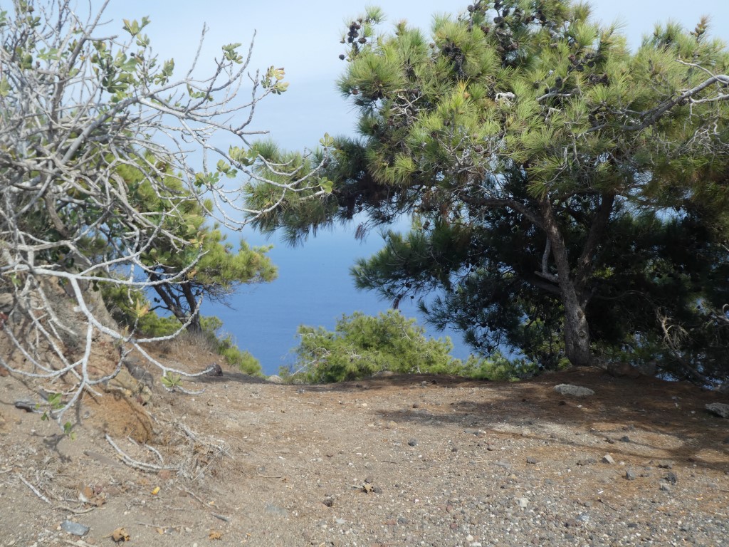 Vacances sur l'île de Santorin ( Grèce) - Page 2 P1030455