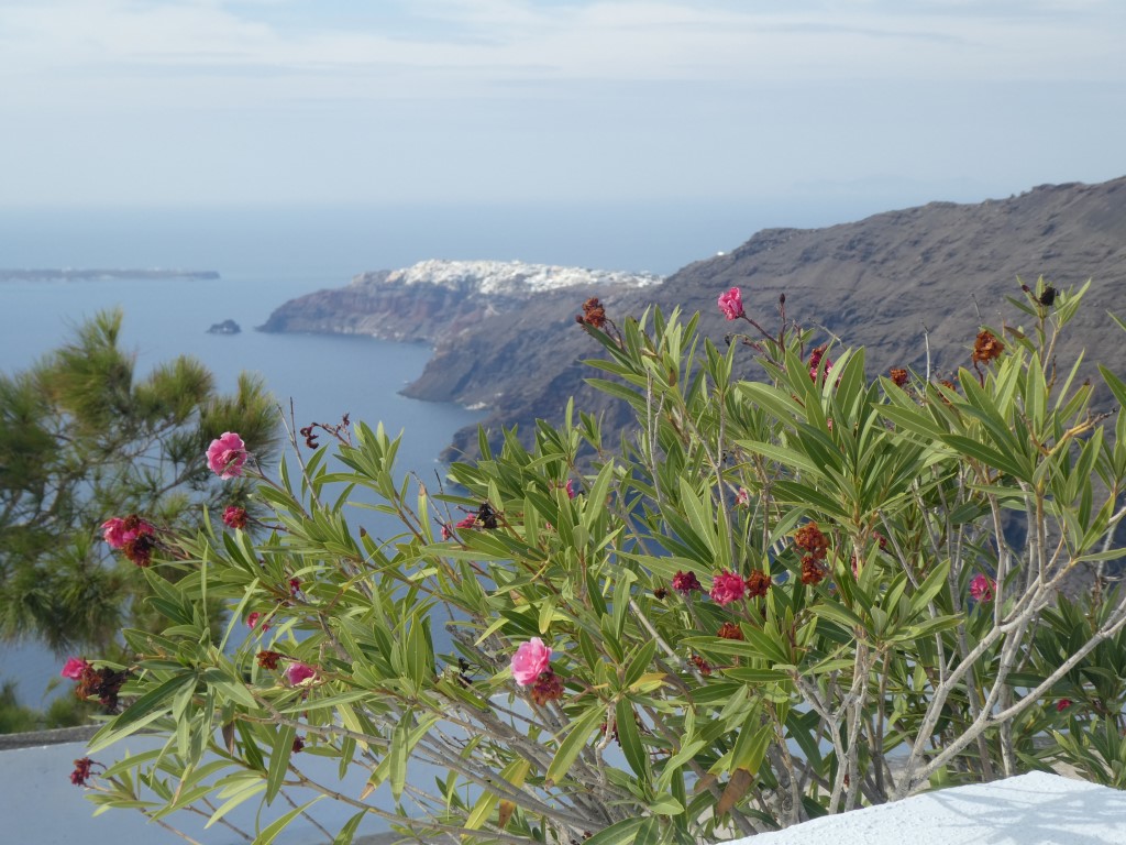 Vacances sur l'île de Santorin ( Grèce) - Page 2 P1030479