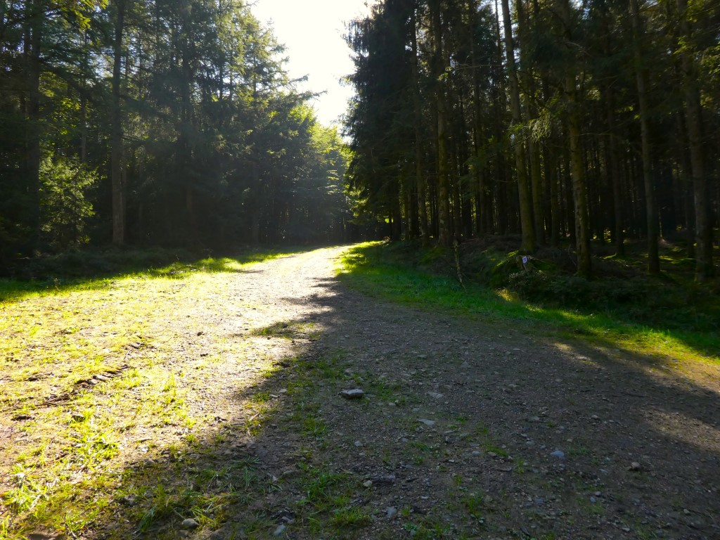 La marche c'est aussi du sport. - Page 22 P1040253