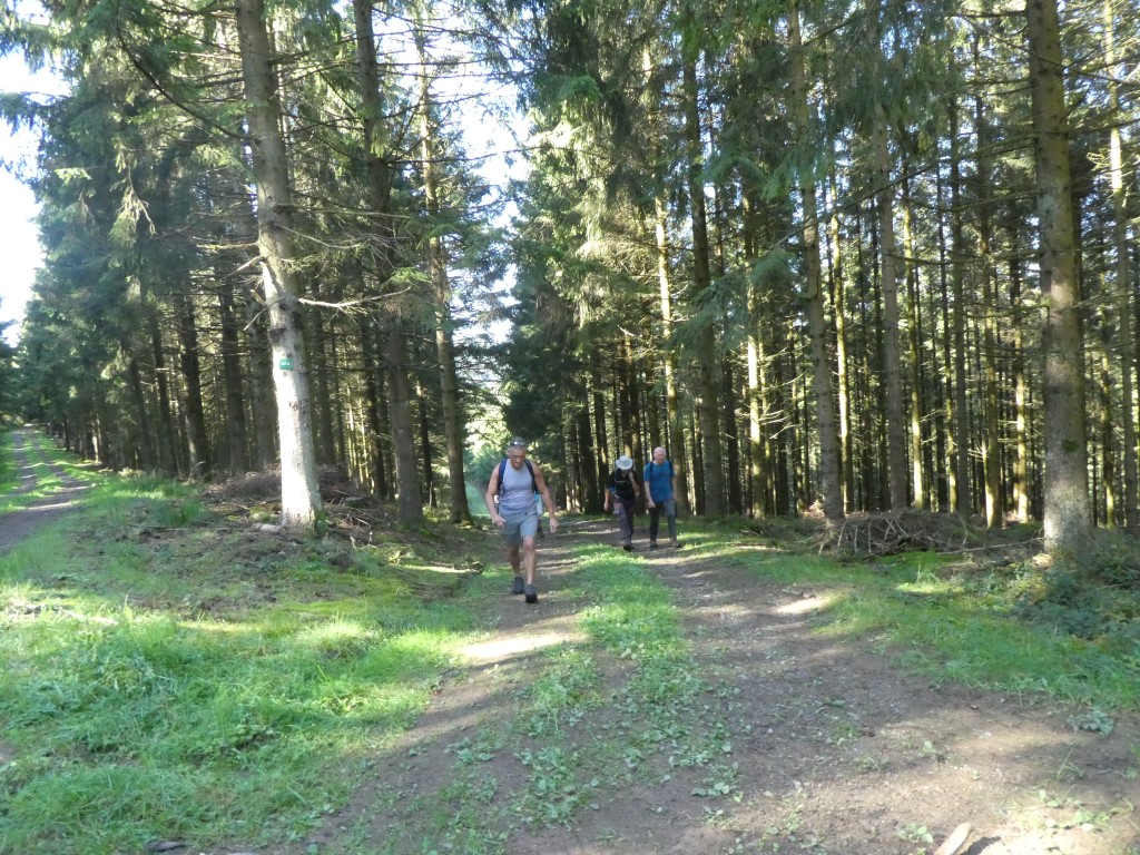 La marche c'est aussi du sport. - Page 22 P1040254