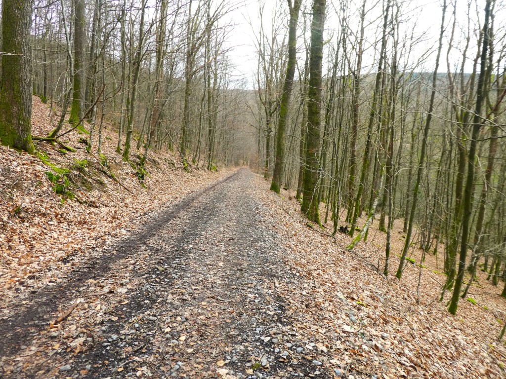 La marche c'est aussi du sport. - Page 39 P1090419