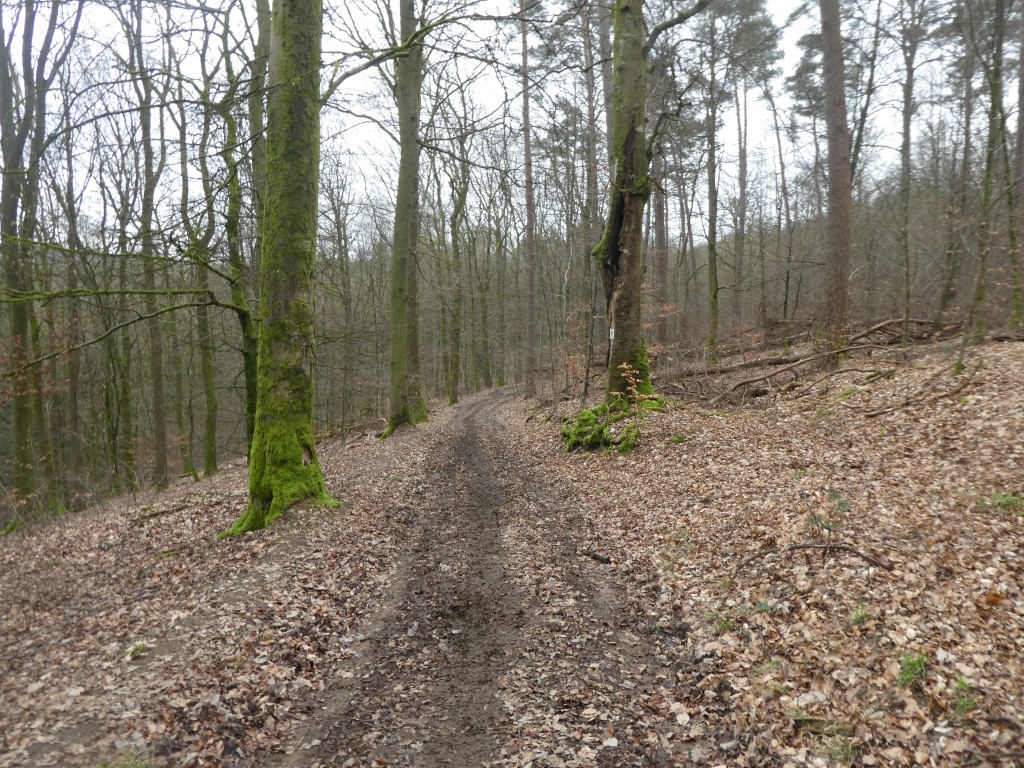 La marche c'est aussi du sport. - Page 39 P1090428