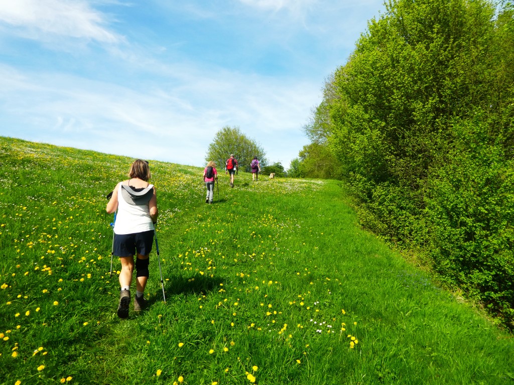 La marche c'est aussi du sport. - Page 42 P1110137