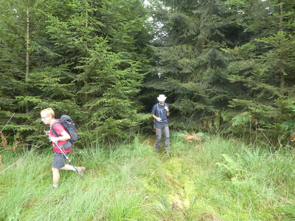 La marche c'est aussi du sport. - Page 12 P1160845