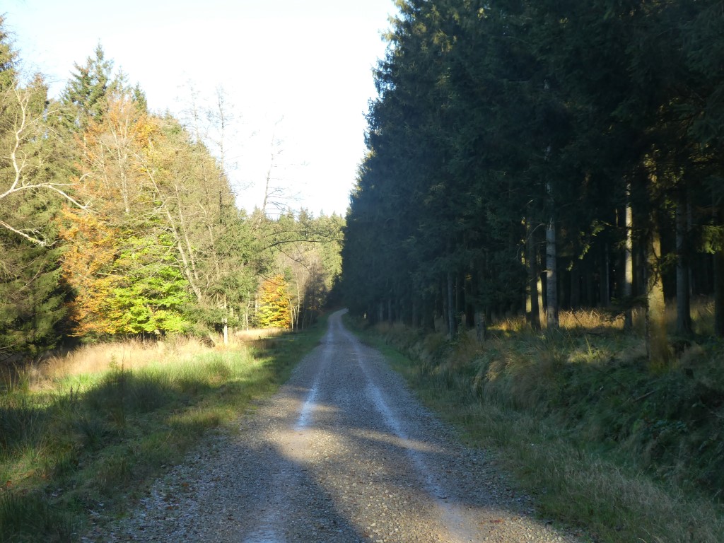 La marche c'est aussi du sport. - Page 18 P1170362