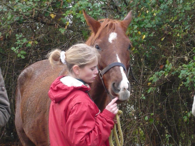 Pinerola, Jument hannovrienne 5 ans [adoptée par Ophélie] - Page 4 P1070519