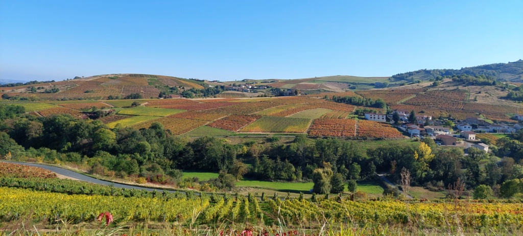 organisation d une visue - Petit tour dans le Beaujolais 20211028