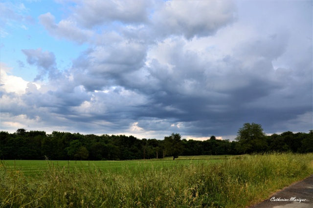 Traques d'orages 2023 Dsc_2012