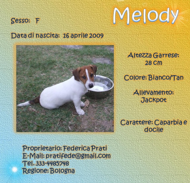 SCHEDE DEI NOSTRI JACK RUSSELL 2 Melody10