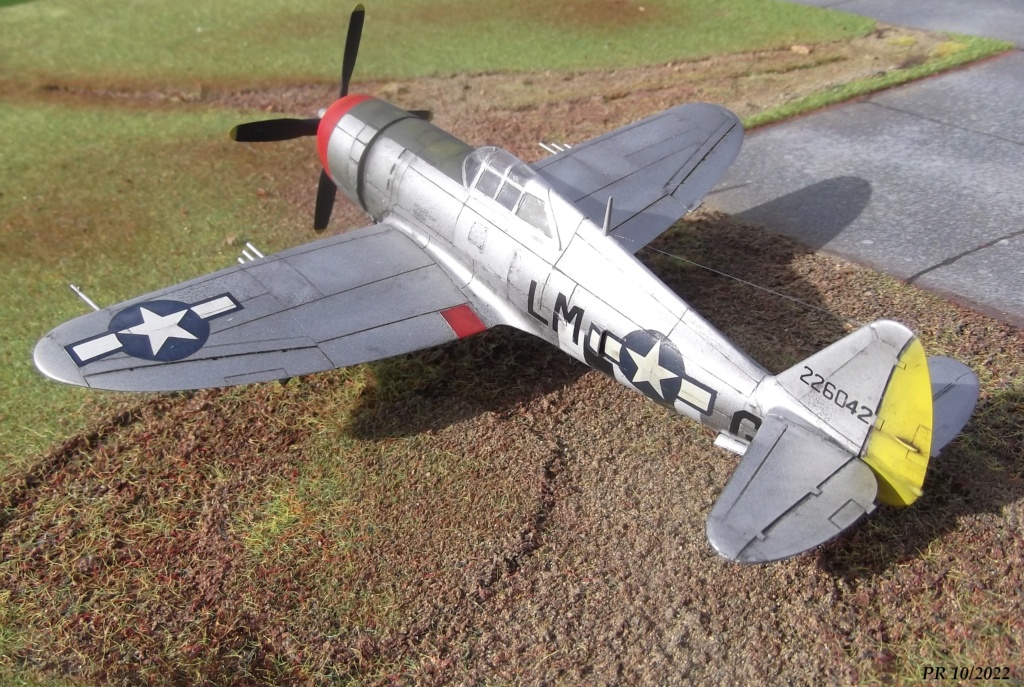 P47 Thunderbolt   Hasegawa Crg0810