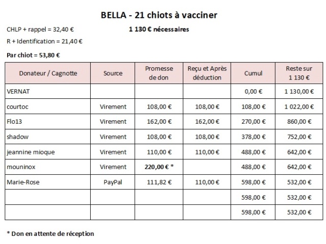 21 nouveaux chiots à Bella ! RECHERCHE DE PARRAINS - 1201 € reçus ou promis / 1130 € nécessaires // Appel CLOS 21chio13