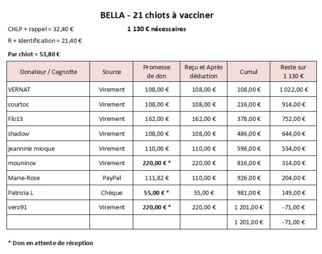 21 nouveaux chiots à Bella ! RECHERCHE DE PARRAINS - 1201 € reçus ou promis / 1130 € nécessaires // Appel CLOS 21chio15