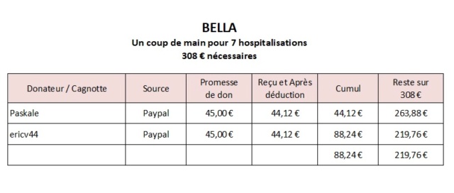 BELLA - Un coup de main pour 7 hospitalisations - 308 € nécessaires - APPEL CLOS  Bella711