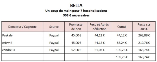 BELLA - Un coup de main pour 7 hospitalisations - 308 € nécessaires - APPEL CLOS  Bella712