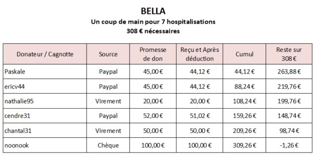 BELLA - Un coup de main pour 7 hospitalisations - 308 € nécessaires - APPEL CLOS  - Page 2 Bella717