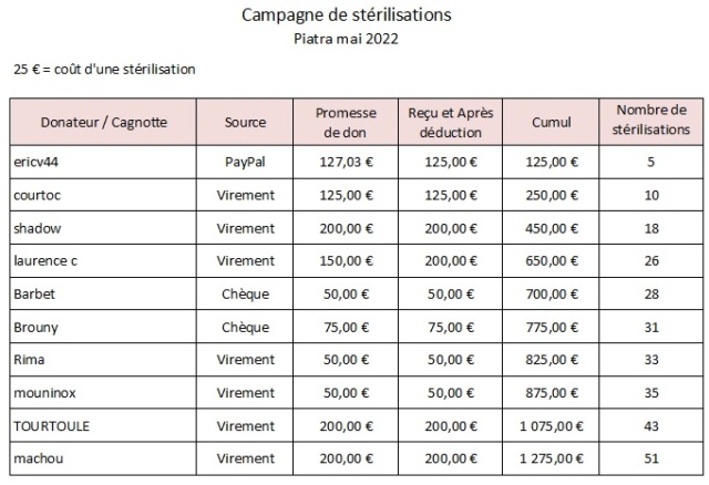 Campagne de stérilisations Piatra Neamt  MAI 2022 Piatra19