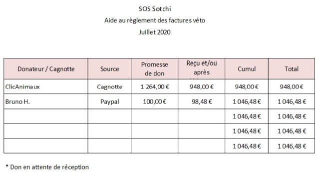 SOS Sotchi - Aide au règlement des factures véto - Appel clos 4500 € reçus Sotchi11