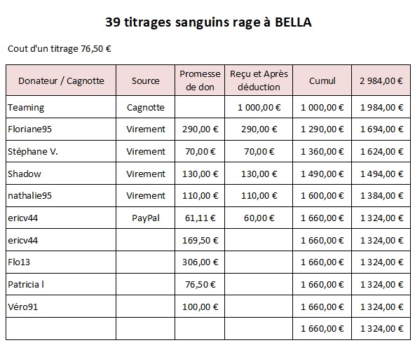 Refuge BELLA - 39 titrages à faire : Budget 2984 € Titrag12