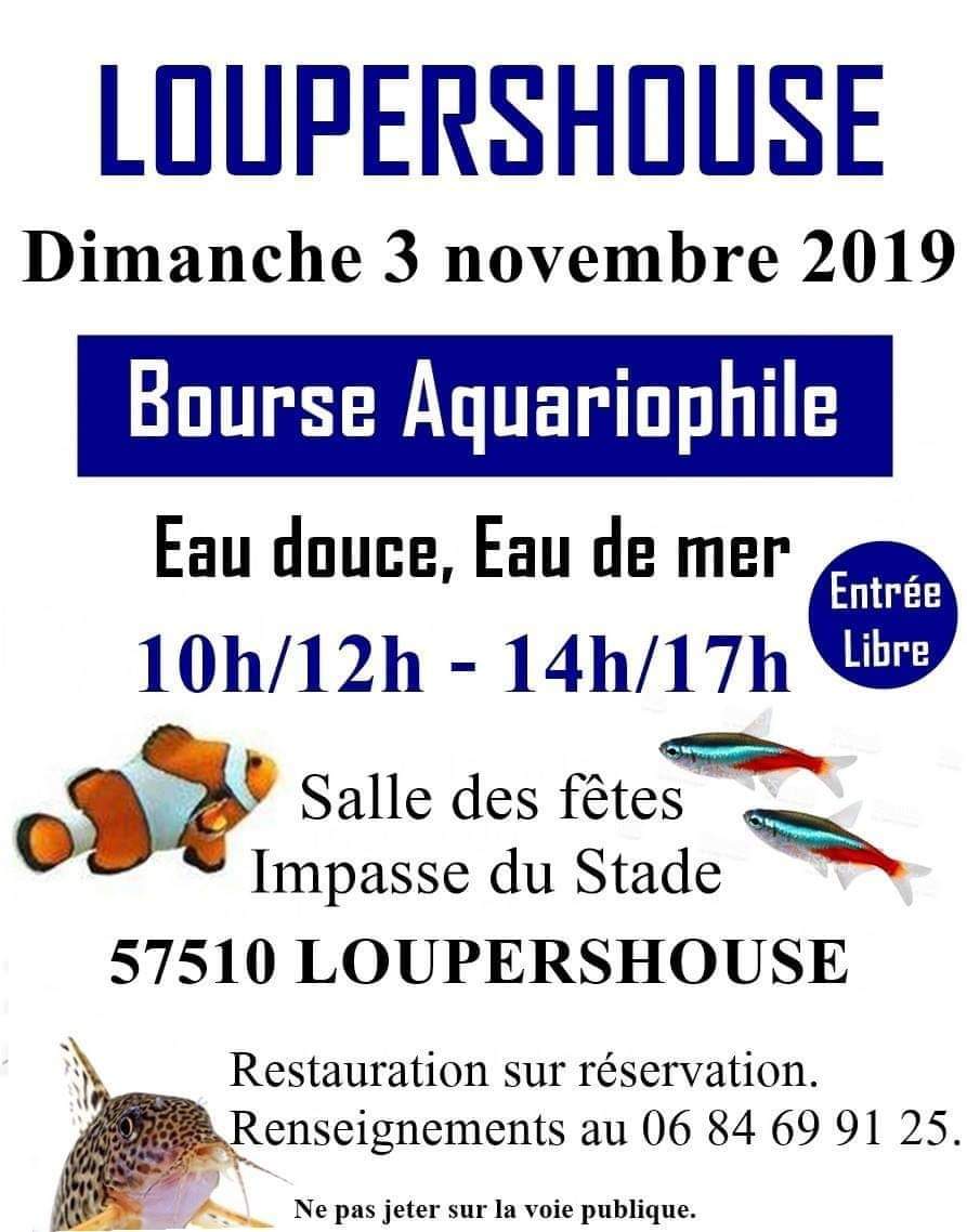 Bourse de Loupershouse en Moselle le 3 novembre 2019 Fb_img11