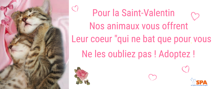 LA SAINT VALENTIN LE 14 FEVRIER 2022 St_val10