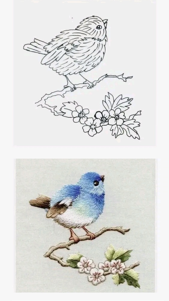 الطائر الأزرق - صفحة 2 16788810