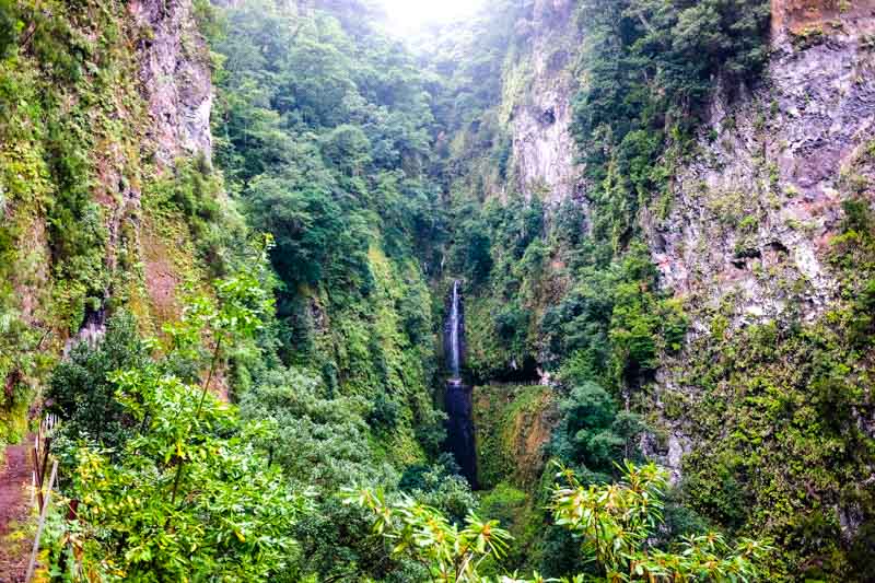 Madère, promenade le long d'une levada Levada19