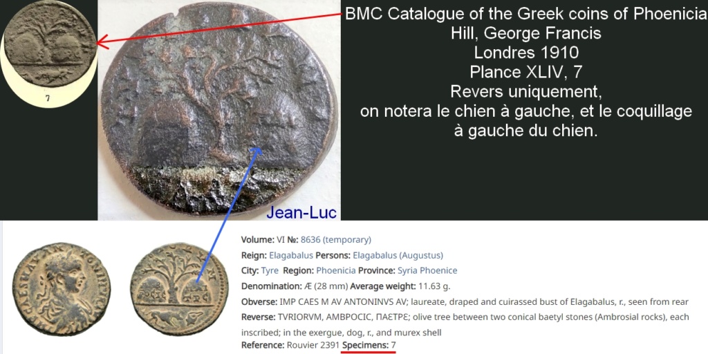 Bronze Elagabale - Tyr Phénicie - Revers à l'olivier sacré entre deux bétyles - Rouvier 2391 Rouvie10