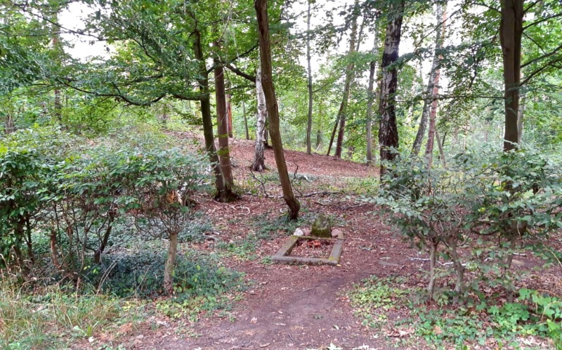 Geschichten, Geschichte und Ereignisse in der Heide. Der nordöstliche Teil.  11840210