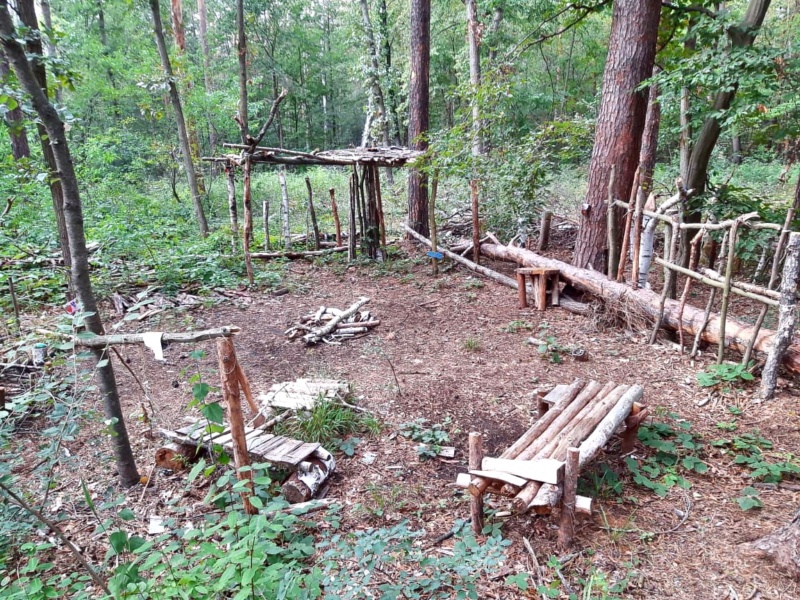 Geschichten, Geschichte und Ereignisse in der Heide. Der nordöstliche Teil.  11847311