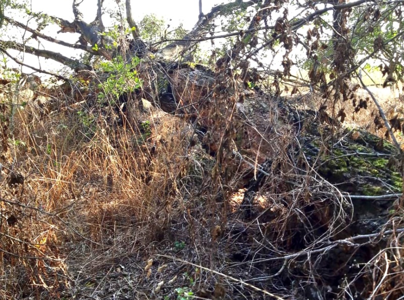 Spurensuche in der Heide. Heute, wo ist der Lindwurmdrache ?  11898010